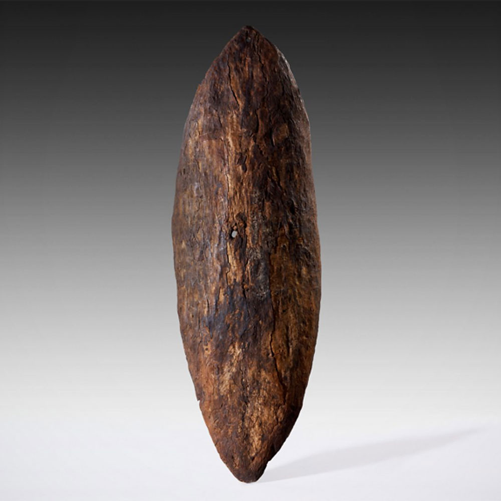 The Gweagal Shield
